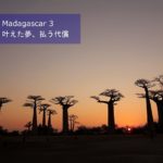 Madagascar 3 : 叶えた夢、払う代償